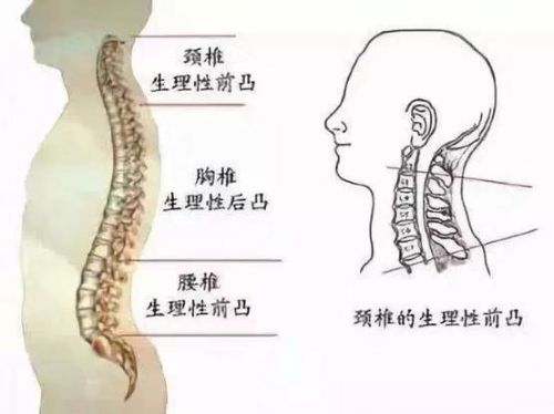 微信圖片_20181218164522.jpg 微信圖片_20181218164522.jpg